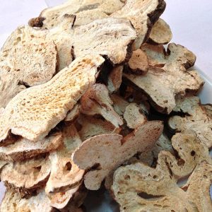 調(diào)理寒濕引起的腰酸背痛——白術(shù)
